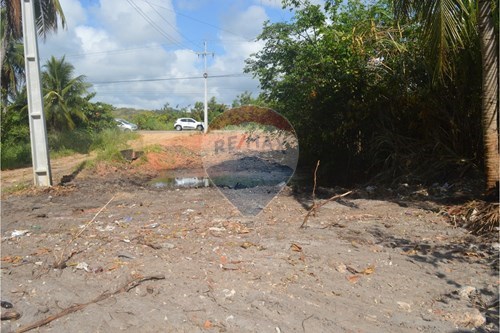 Venda-Terreno-Centro , Maragogi , Alagoas , 57955000-850291008-53