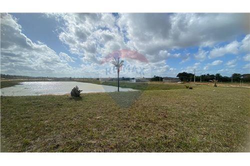 Venda-Terreno-TERRENO NA AVENIDA PRINCIPAL PORTO POXIM -RUA PROJ , 189  - Rosa Elze , São Cristóvão , Sergipe , 49100000-850581005-290