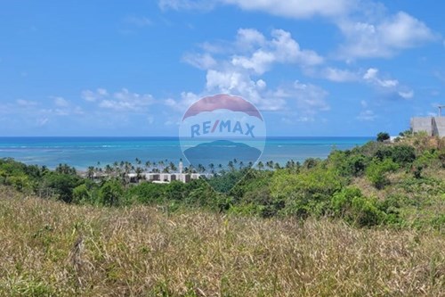 Venda-Terreno-Rua Leocadio Nogueira Neto , 60  - AL-101  - Centro , Passo de Camaragibe , Alagoas , 57930000-850491042-53