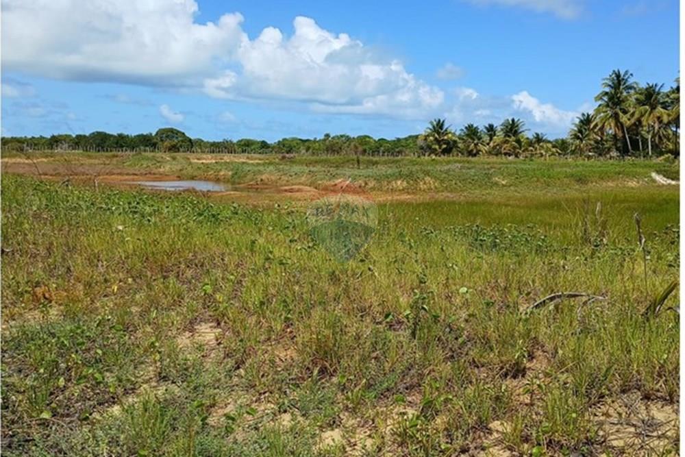 Chácara / Sítio / Fazenda - Venda - Piaçabuçu , Alagoas - IMG-20250221-WA0108.jpg - 850271205-15