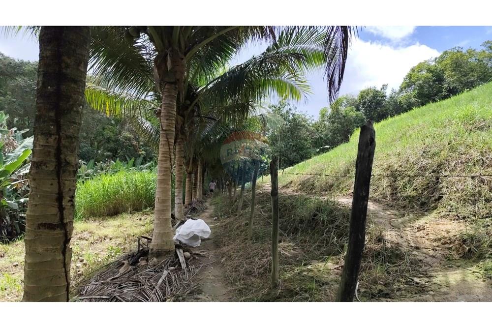 Chácara / Sítio / Fazenda - Venda - Maceió , Alagoas - HARAS18.jpg - 850141043-95