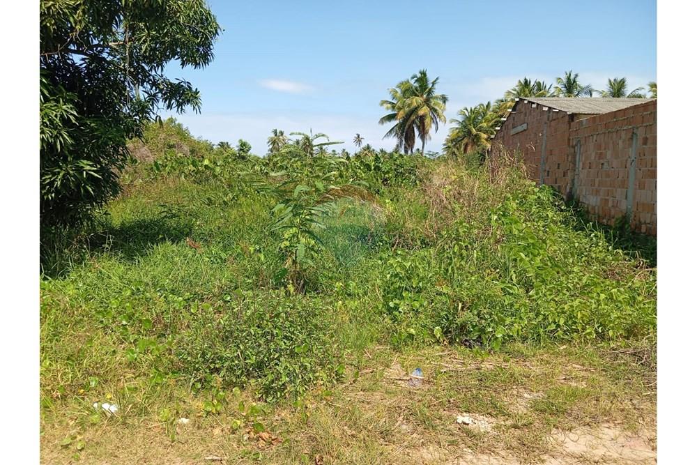 Terreno - Venda - São Miguel dos Milagres , Alagoas - WhatsApp Image 2025-10-17 at 21.01.57.jpeg - 850271222-10
