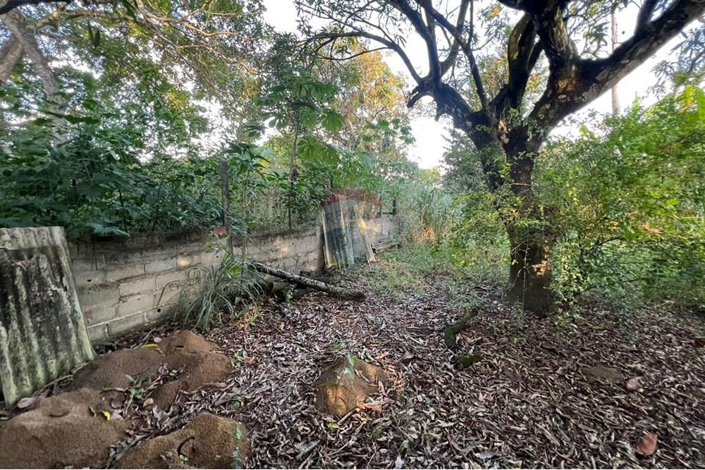 Chácara / Sítio / Fazenda - Venda - Maceió , Alagoas - b5bf5de2-462a-43a5-8520-d37984377f5e.jpg - 850271213-2