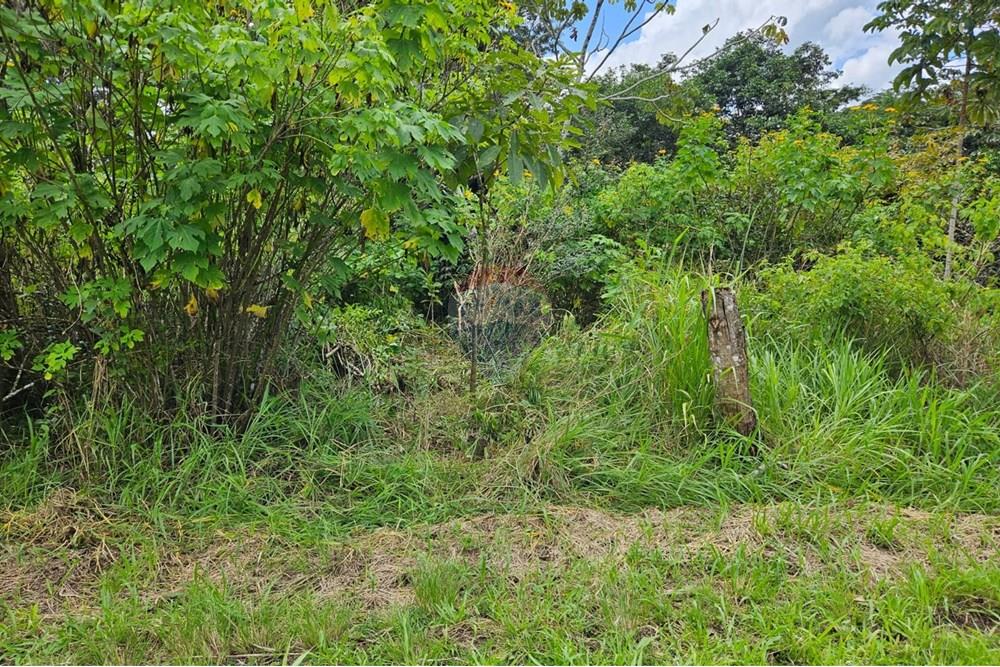 Terreno - Venda - Paudalho , Pernambuco - WhatsApp Image 2025-09-04 at 14.10.58 (2).jpeg - 850471016-74