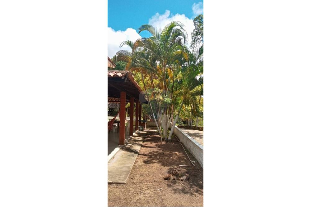 Chácara / Sítio / Fazenda - Venda - Maceió , Alagoas - Imagem do WhatsApp de 2025-05-28 à(s) 11.27.00_f56a29c9 - Copia.jpg - 850141085-5