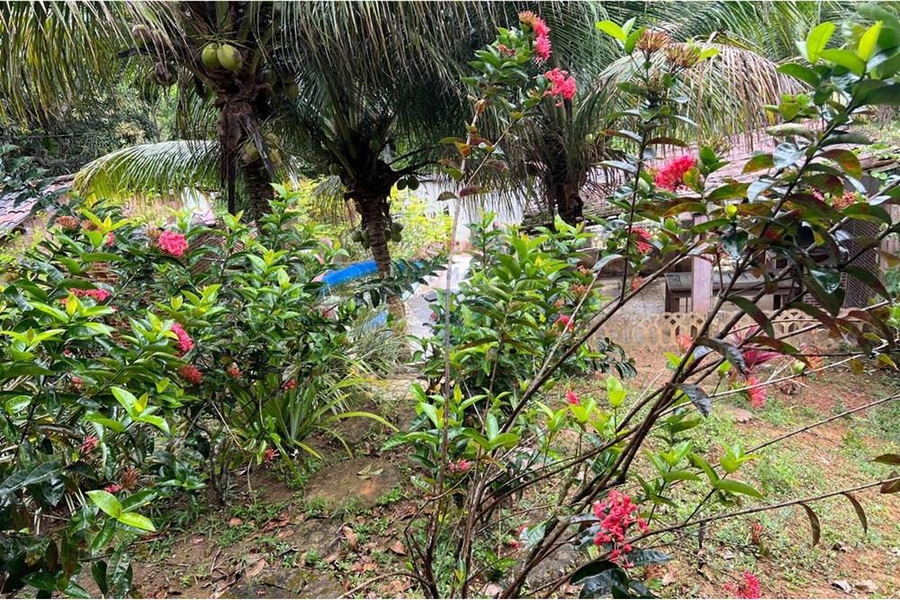 Casa de Campo - Venda - Cabo de Santo Agostinho , Pernambuco - WhatsApp Image 2025-03-13 at 15.10.54.jpeg - 850281036-66