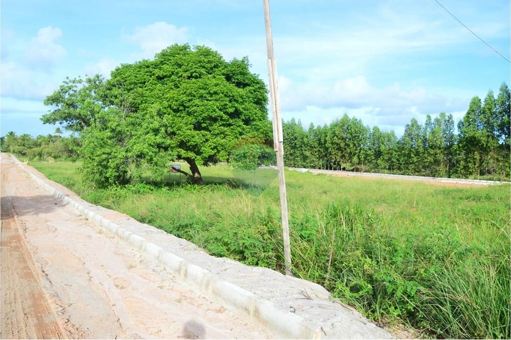 Terreno - Venda - Maragogi , Alagoas - WhatsApp Image 2024-07-22 at 22.36.11 (1).jpeg - 850291009-67