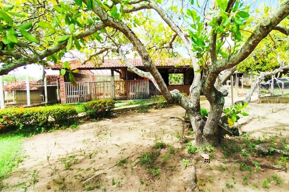 Chácara / Sítio / Fazenda - Venda - Igarassu , Pernambuco - WhatsApp Image 2025-01-23 at 15.12.42 (3).jpeg - 850071019-161