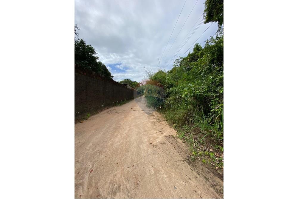 Chácara / Sítio / Fazenda - Venda - Camaragibe , Pernambuco - 4f6398b3-71a9-4fac-a603-e8a0180d9612.jpg - 850191067-47