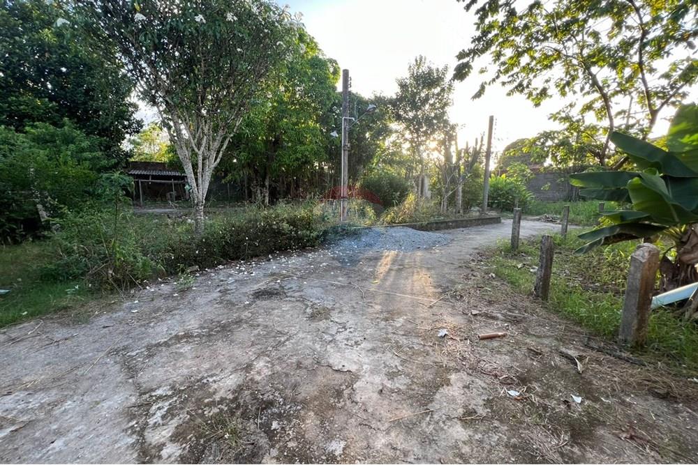 Chácara / Sítio / Fazenda - Venda - Maceió , Alagoas - 6e99ead1-fda0-48f8-9e3e-97c8c3e25b13.jpg - 850271213-2