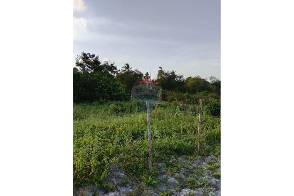 Chácara / Sítio / Fazenda - Venda - Santo Amaro das Brotas , Sergipe - WhatsApp Image 2025-10-13 at 18.00.07.jpeg - 850581246-19