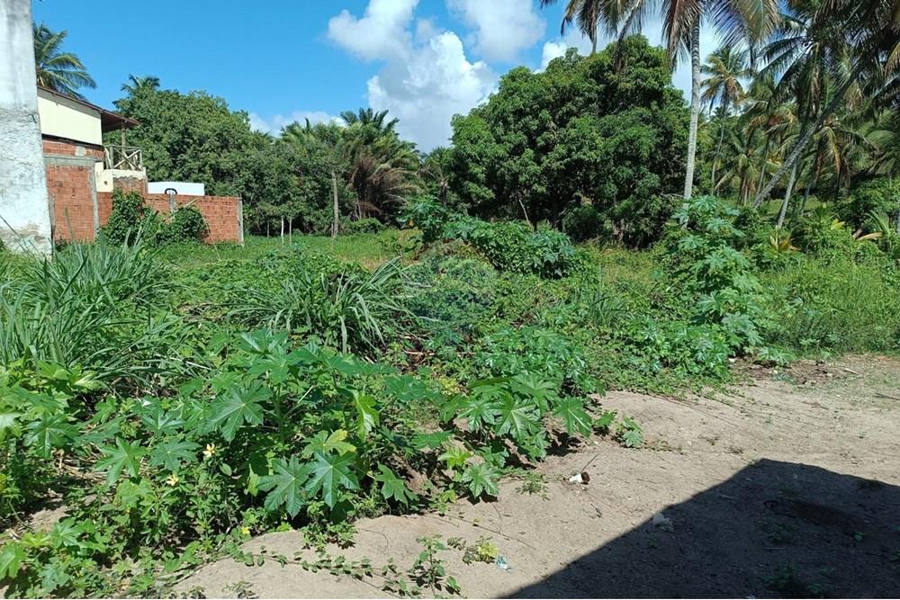 Terreno - Venda - Porto de Pedras , Alagoas - TERRENO LINDA 35.jpg - 850141002-102