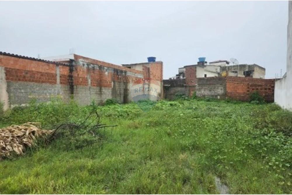 Terreno - Venda - Tamandaré , Pernambuco - 1.jpg - 850251097-5