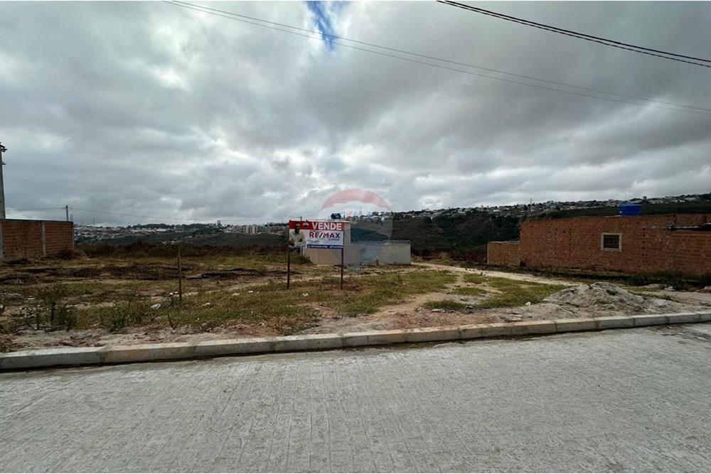 Terreno - Venda - Garanhuns , Pernambuco - WhatsApp Image 2025-01-08 at 17.00.50 (8).jpeg - 850131003-373