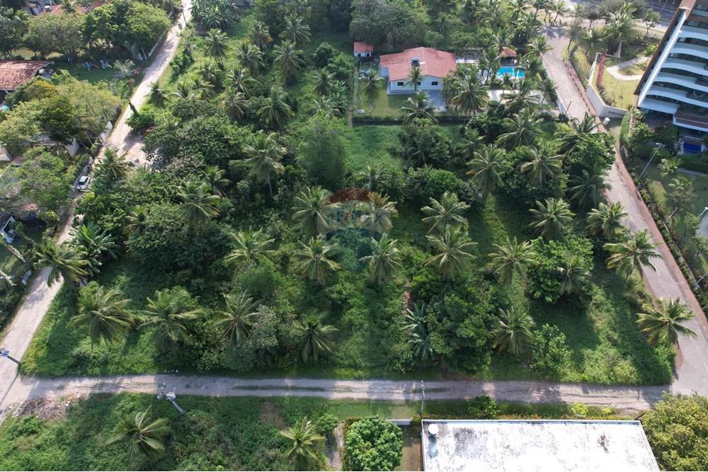 Terreno - Venda - Cabo de Santo Agostinho , Pernambuco - DJI_0922.jpg - 850091083-8