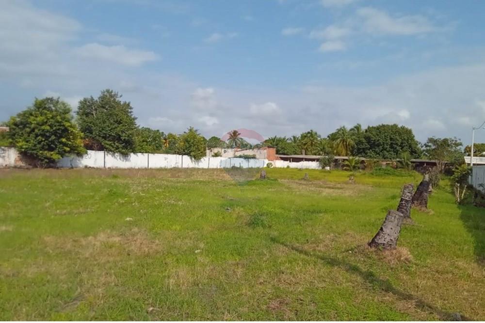 Terreno - Venda - Marechal Deodoro , Alagoas - WhatsApp Image 2025-09-24 at 07.44.09.jpeg - 850641063-2