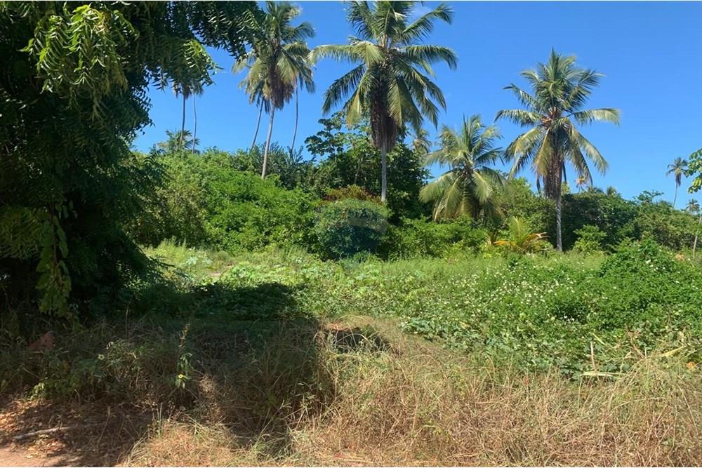 Terreno - Venda - Porto de Pedras , Alagoas - 15.jpg - 850661038-32