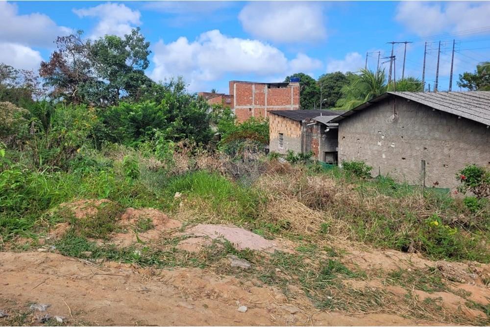 Terreno - Venda - Cabo de Santo Agostinho , Pernambuco - WhatsApp Image 2024-11-05 at 13.10.01.jpeg - 850281001-5