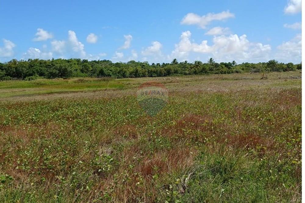 Chácara / Sítio / Fazenda - Venda - Piaçabuçu , Alagoas - IMG-20250221-WA0106.jpg - 850271205-15
