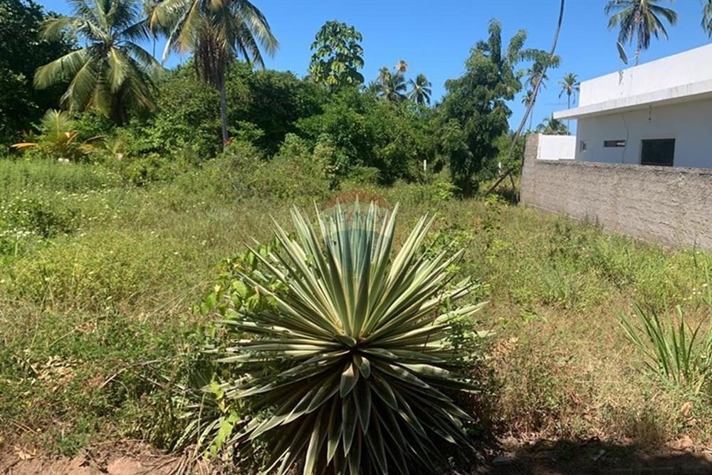 Terreno - Venda - Porto de Pedras , Alagoas - 1.jpg - 850661038-32