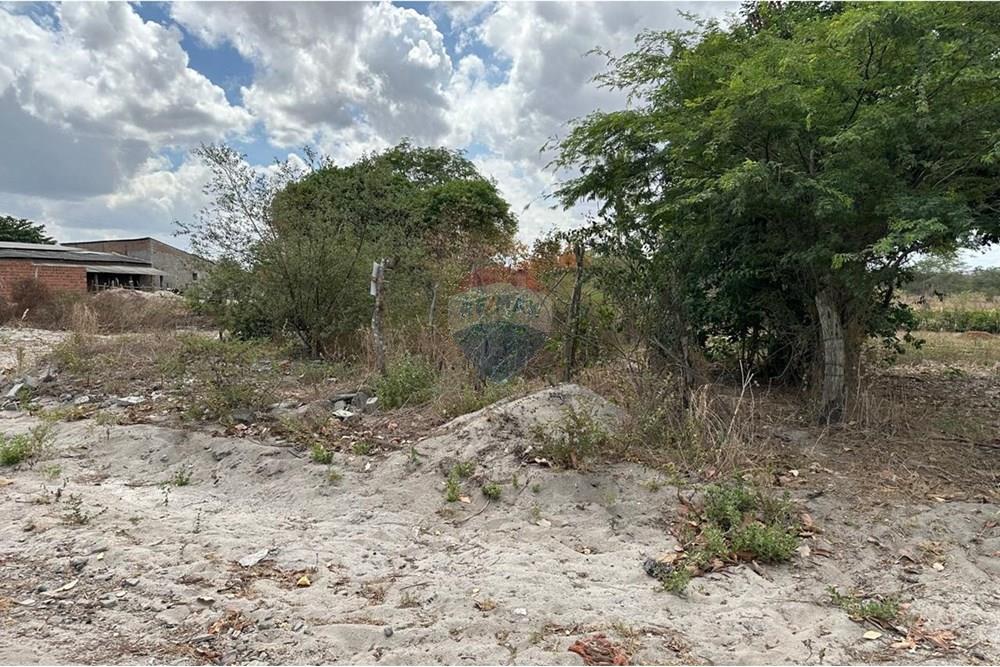 Terreno - Venda - Lajedo , Pernambuco - WhatsApp Image 2024-12-03 at 15.52.46 (5).jpeg - 850131003-358