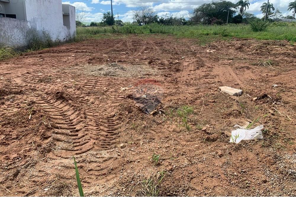 Terreno - Venda - Palmeira dos Índios , Alagoas - 71962d11-0983-4450-a47e-ff7f29204756.jpg - 850271243-2
