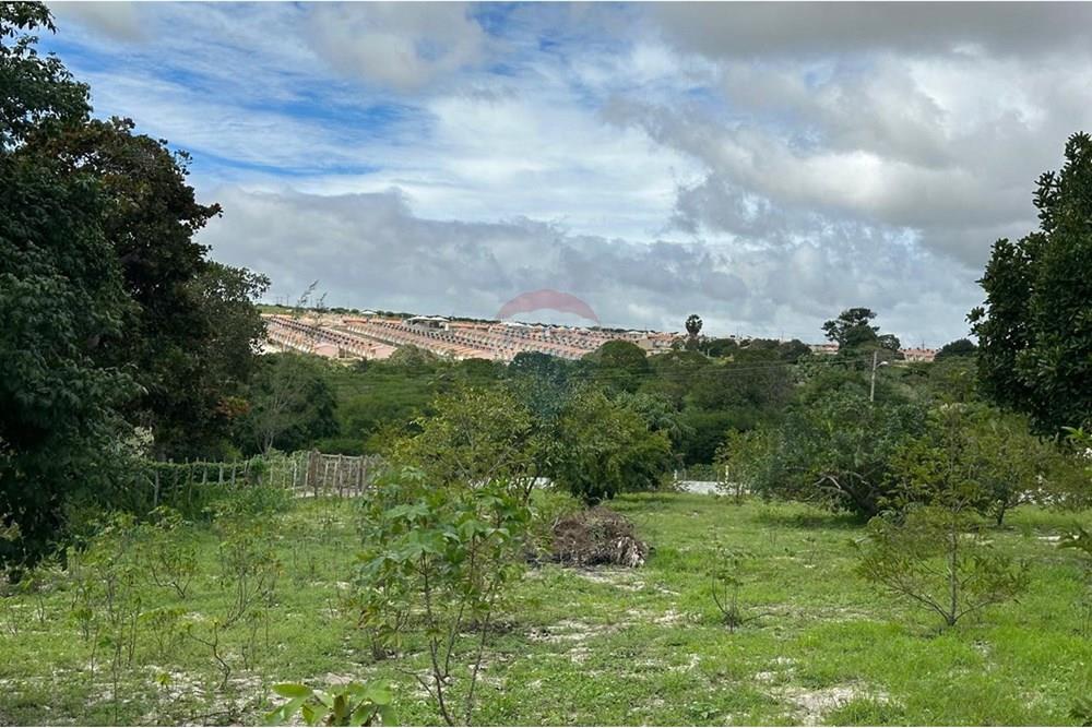 Terreno - Venda - Garanhuns , Pernambuco - OUTRA VISTA DO TERRENO DE SEU NILTON.jpg - 850741005-15