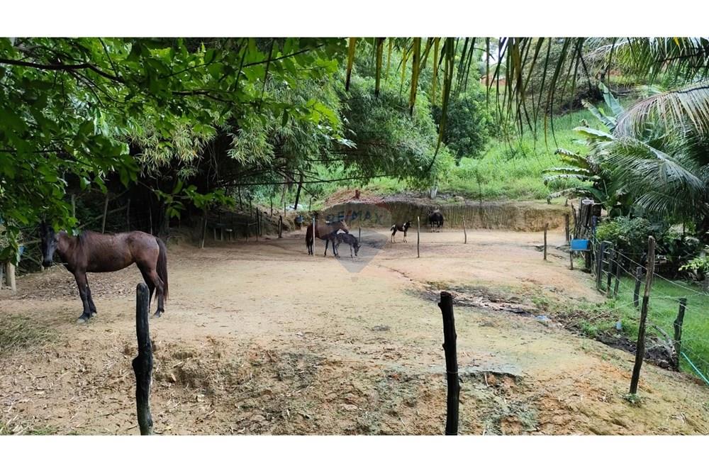 Chácara / Sítio / Fazenda - Venda - Maceió , Alagoas - HARAS16.jpg - 850141043-95