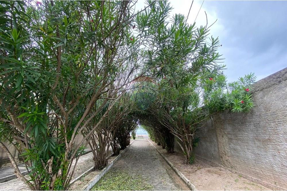 Terreno - Venda - Paripueira , Alagoas - IMG-20250815-WA0119.jpg - 850271152-50