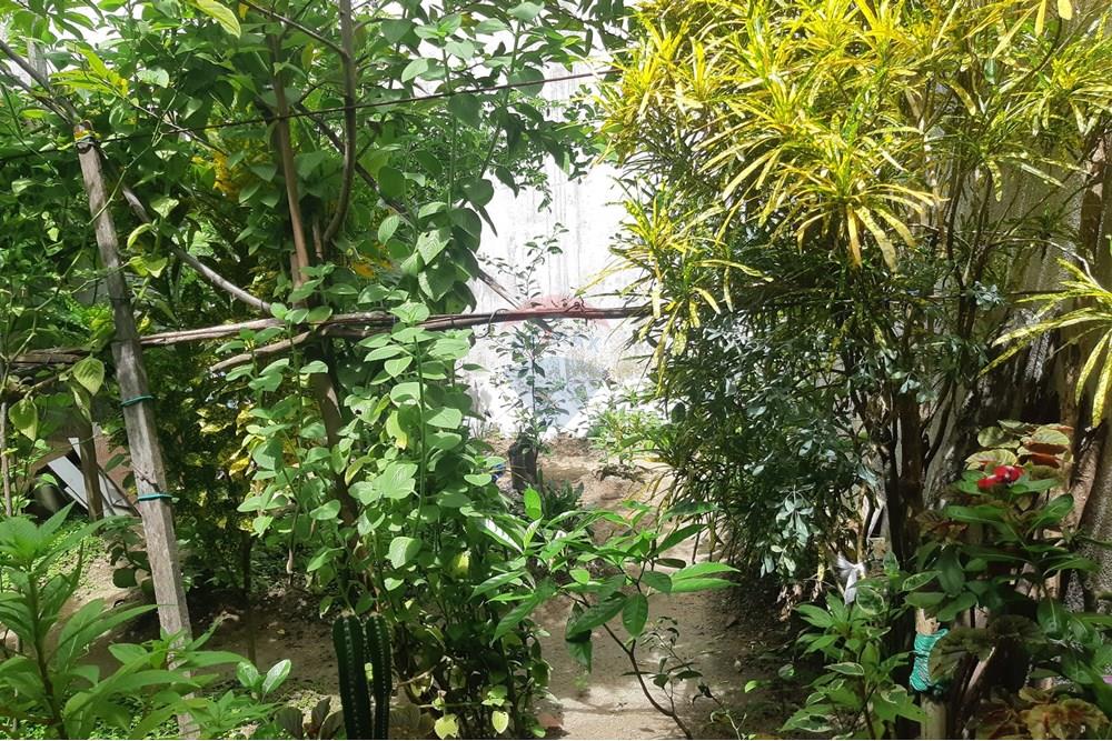 Casa - Venda - Marechal Deodoro , Alagoas - WhatsApp Image 2025-03-01 at 10.02.58 (1).jpeg - 850651032-34