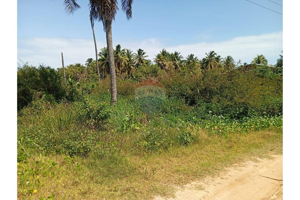 Terreno - Venda - São Miguel dos Milagres , Alagoas - WhatsApp Image 2025-10-17 at 21.01.59 (2).jpeg - 850271222-10