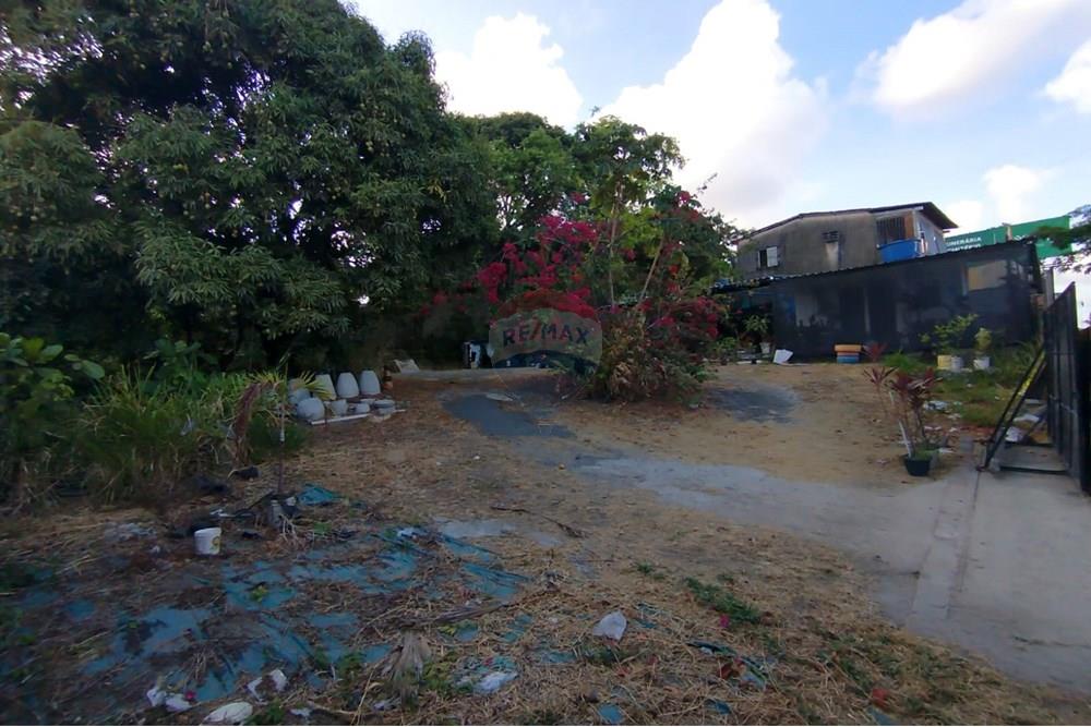 Terreno - Venda - Paulista , Pernambuco - WhatsApp Image 2024-11-30 at 16.35.16 (2).jpeg - 850721002-53