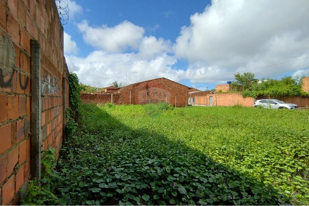 Terreno - Venda - Marechal Deodoro , Alagoas - IMG_20250605_131300253_HDR.jpg - 850651033-4