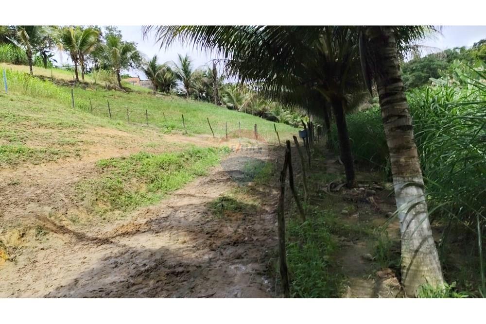 Chácara / Sítio / Fazenda - Venda - Maceió , Alagoas - HARAS22.jpg - 850141043-95