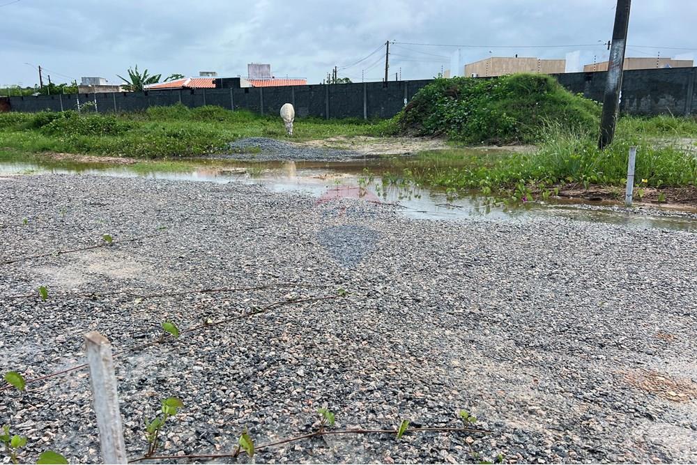 Terreno - Venda - Marechal Deodoro , Alagoas - IMG_3127.jpeg - 850271140-90