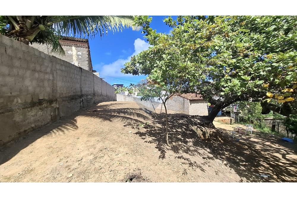 Terreno - Venda - Maceió , Alagoas - WhatsApp Image 2025-07-28 at 16.16.56.jpeg - 850271246-1