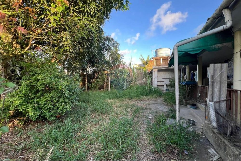 Chácara / Sítio / Fazenda - Venda - Maceió , Alagoas - 8940cfd2-1172-42e8-a0e9-299dbc79e360 (1).jpg - 850271213-2