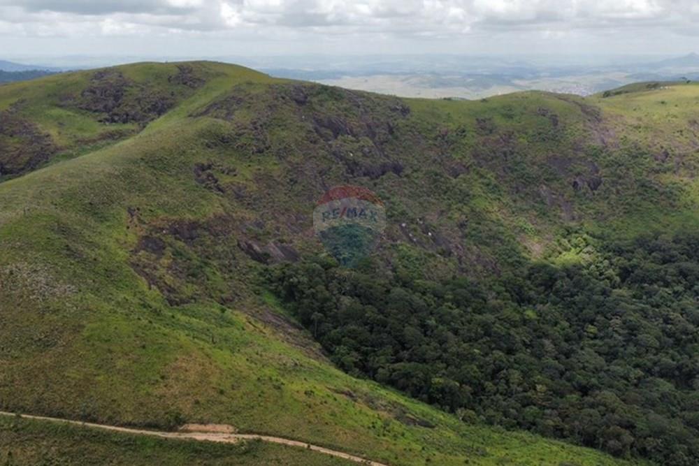 Chácara / Sítio / Fazenda - Venda - Bonito , Pernambuco - WhatsApp Image 2024-12-05 at 15.53.58 (2).jpeg - 850051012-116