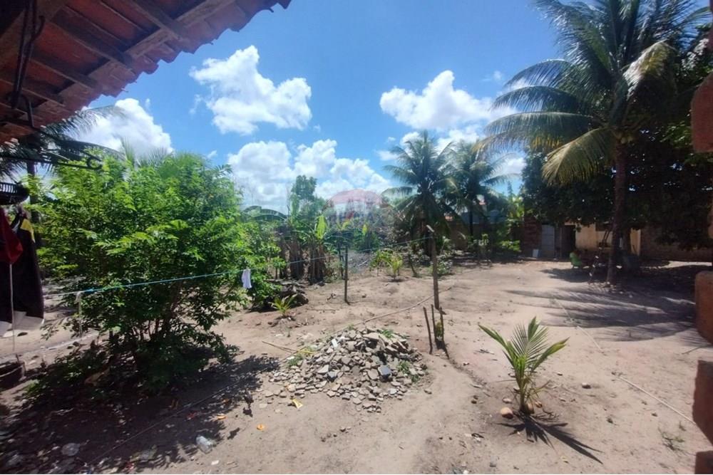 Chácara / Sítio / Fazenda - Venda - Marechal Deodoro , Alagoas - WhatsApp Image 2025-02-23 at 21.31.03.jpeg - 850271006-269