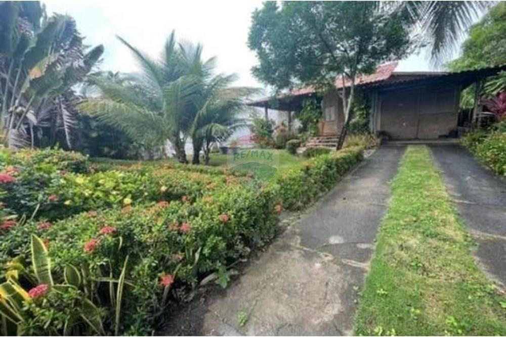 Casa - Venda - Barra de São Miguel , Alagoas - WhatsApp Image 2025-04-01 at 10.12.41 (1).jpeg - 850641001-148