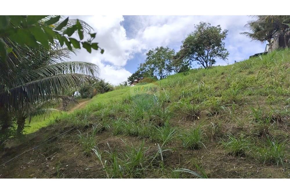 Chácara / Sítio / Fazenda - Venda - Maceió , Alagoas - HARAS17.jpg - 850141043-95