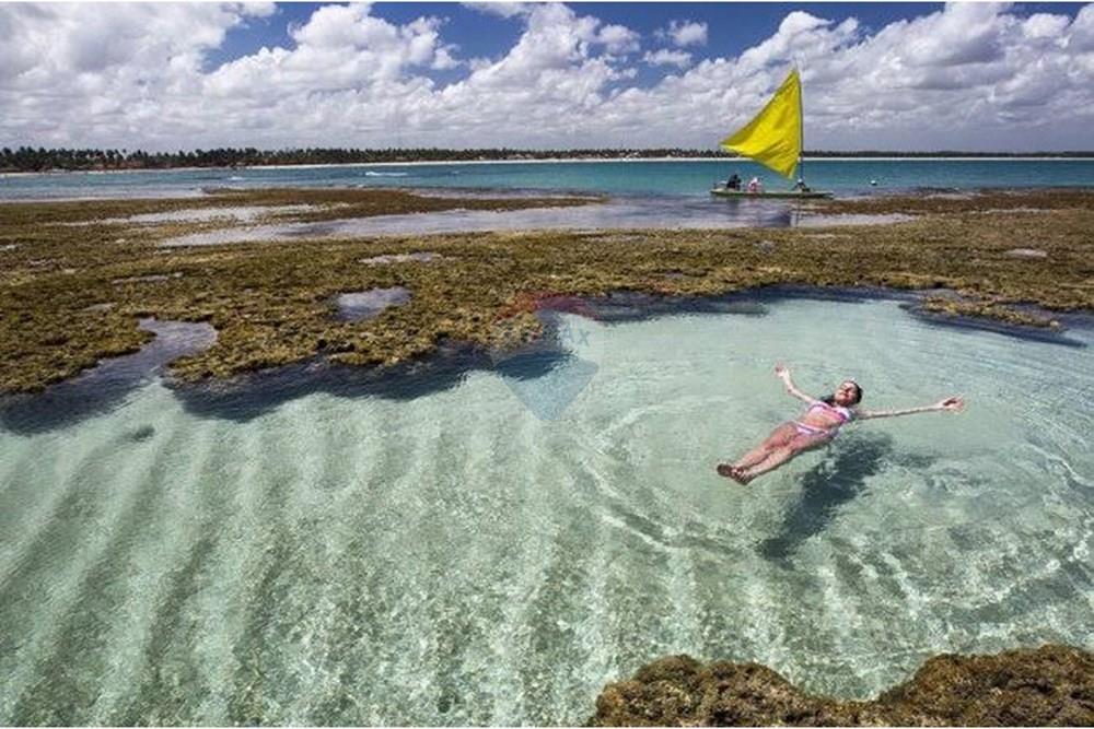 Apart Hotel/ Flat - Venda - Ipojuca , Pernambuco - IMG_3814.jpeg - 850041009-83