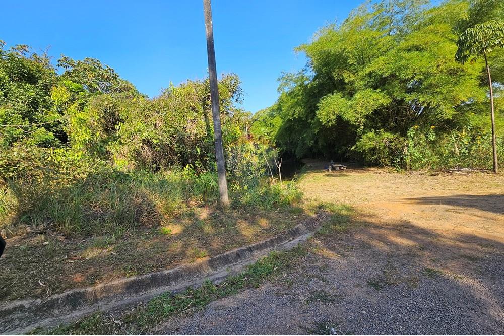 Terreno - Venda - Paudalho , Pernambuco - 20241024_150301.jpg - 850471016-73