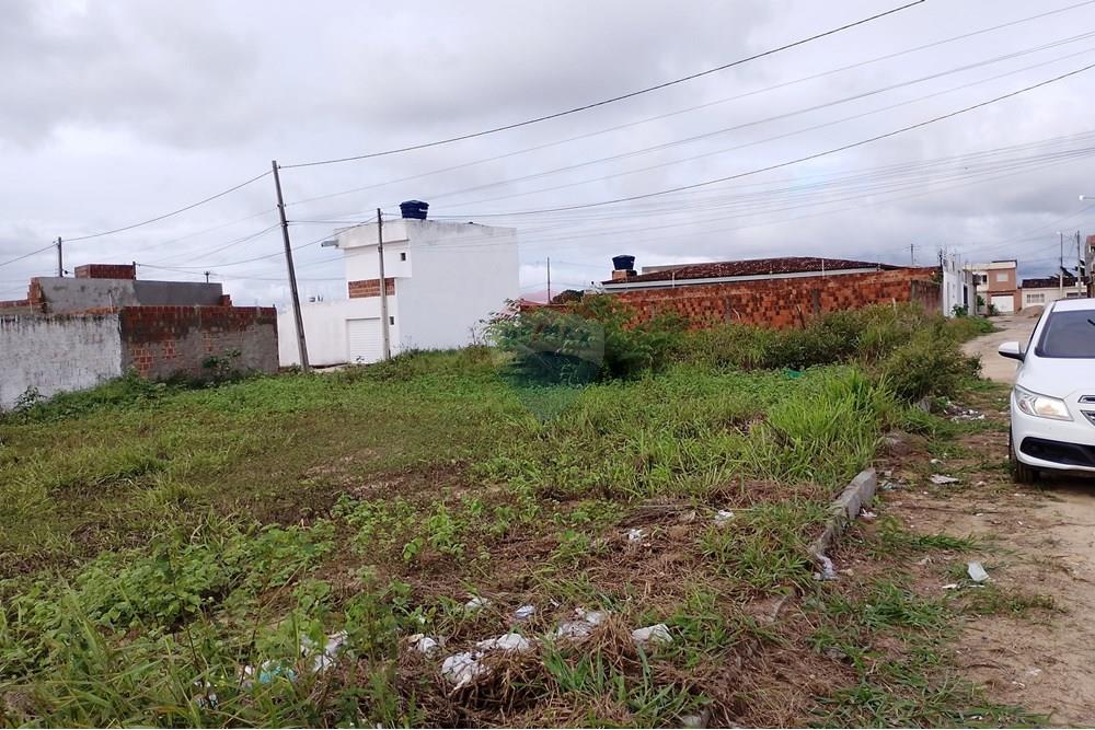 Terreno - Venda - Lajedo , Pernambuco - IMG_20250521_151546.jpg - 850131018-46
