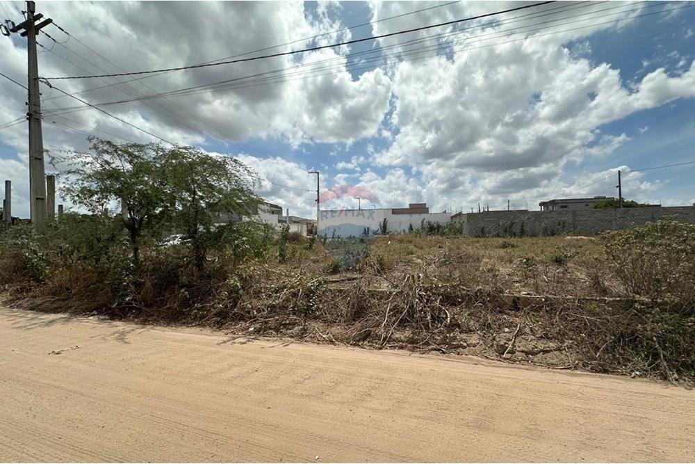 Terreno - Venda - Lajedo , Pernambuco - WhatsApp Image 2024-12-03 at 21.00.08 (6).jpeg - 850131003-360