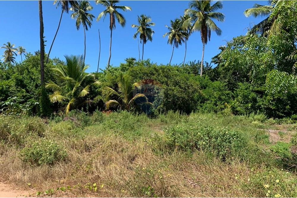 Terreno - Venda - Porto de Pedras , Alagoas - 17.jpg - 850661038-32