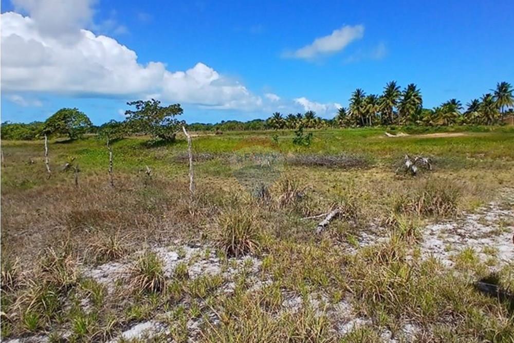 Chácara / Sítio / Fazenda - Venda - Piaçabuçu , Alagoas - IMG-20250221-WA0109.jpg - 850271205-15