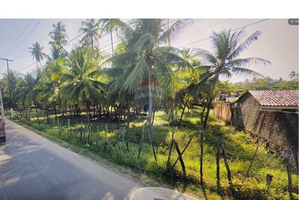 Chácara / Sítio / Fazenda - Venda - Maceió , Alagoas - PHOTO-2025-09-12-11-36-09.jpg - 850711032-7