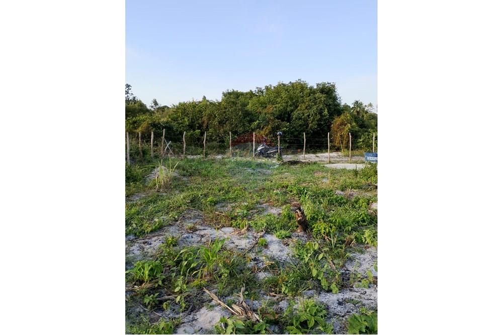 Chácara / Sítio / Fazenda - Venda - Santo Amaro das Brotas , Sergipe - WhatsApp Image 2025-10-13 at 18.00.07 (1).jpeg - 850581246-19