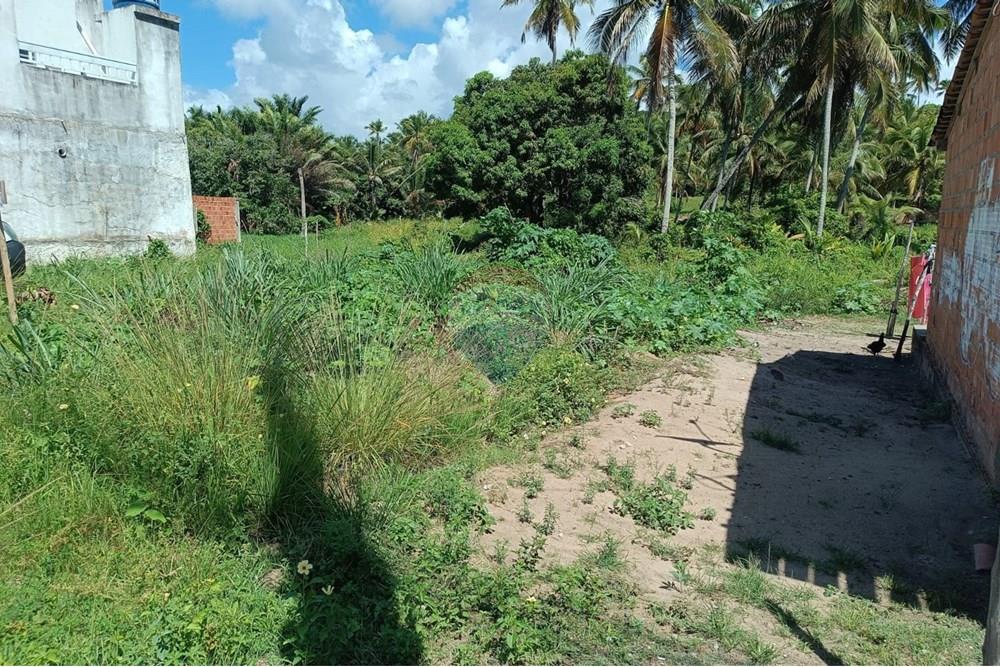 Terreno - Venda - Porto de Pedras , Alagoas - TERRENO LINDA 38.jpg - 850141002-102